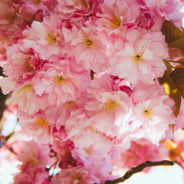 Forward by Design Coaching