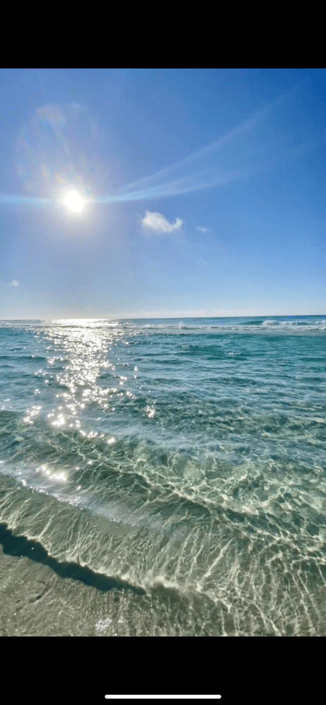 From dreaming to&nbsp;living